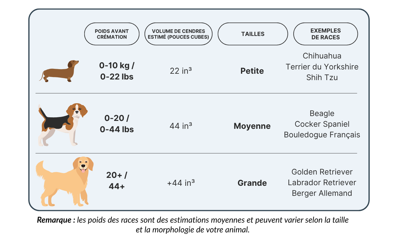 Tableau illustré indiquant les tailles d’urnes pour chien selon le poids avant crémation : petite (jusqu’à 10 kg) pour Chihuahua ou Shih Tzu, moyenne (jusqu’à 20 kg) pour Beagle ou Bouledogue Français, et grande (plus de 20 kg) pour Labrador ou Golden Retriever